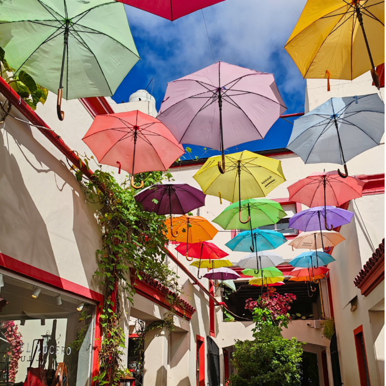 Buenos Aires :  visiter le quartier de San Telmo