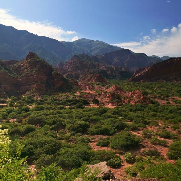 Visiter la région de Salta : les incontournables du nord-ouest de l’Argentine