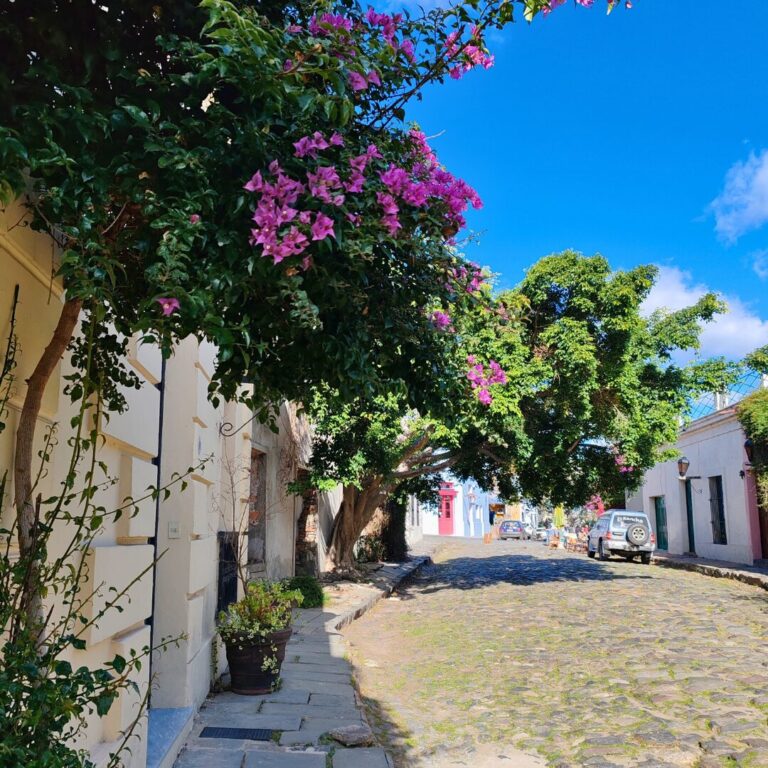 Visiter Colonia del Sacramento en Uruguay