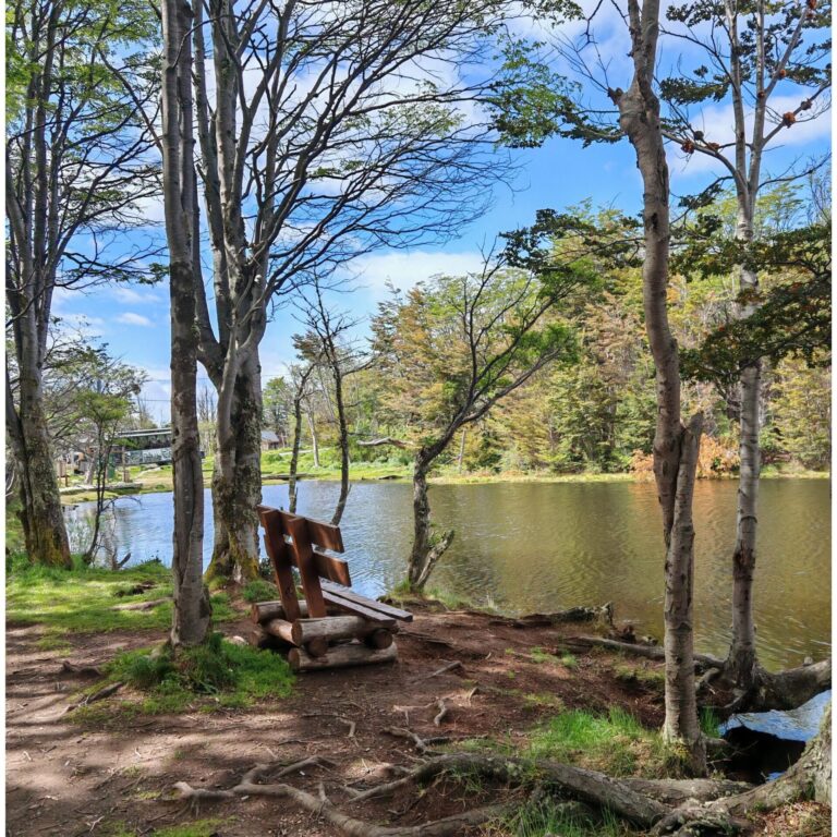 Ushuaia : découvrir la Laguna del Diablo